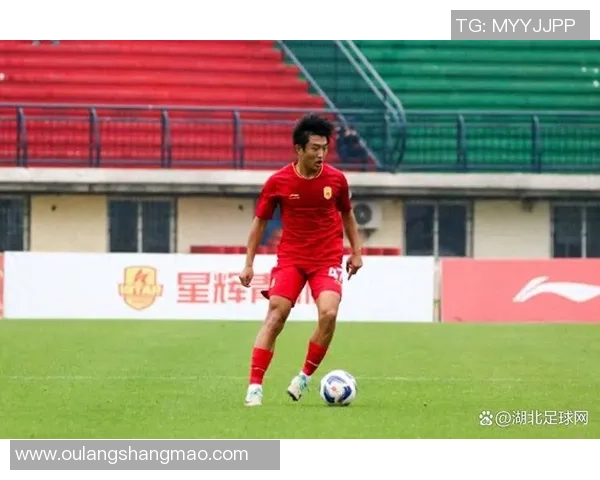 湖北足球明星的辉煌历程与成就解析